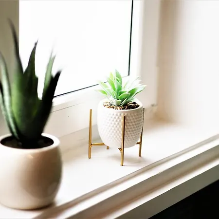 Luxury Cernigoj Appartement