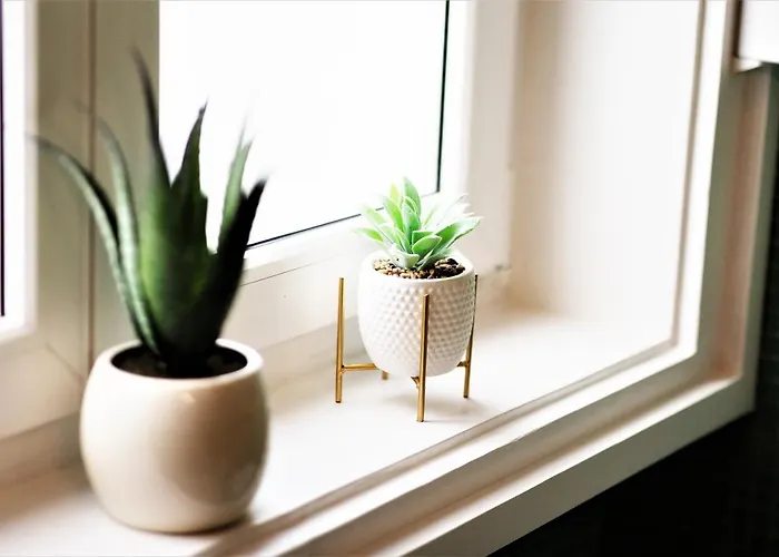 Luxury Cernigoj 아파트