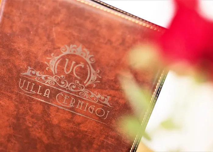 Luxury Cernigoj 아파트 마리보르